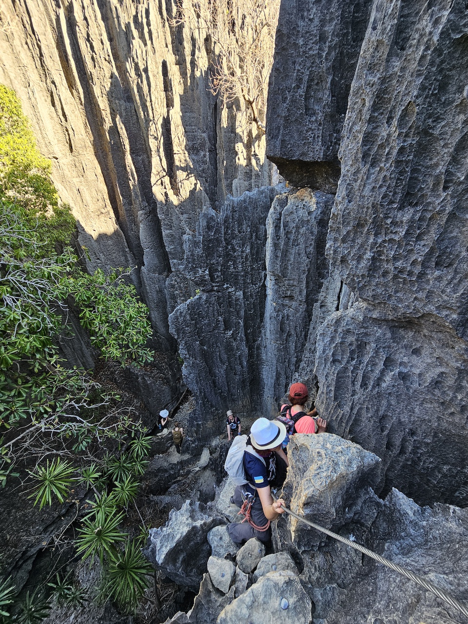 виоферата на Мадагаскаре