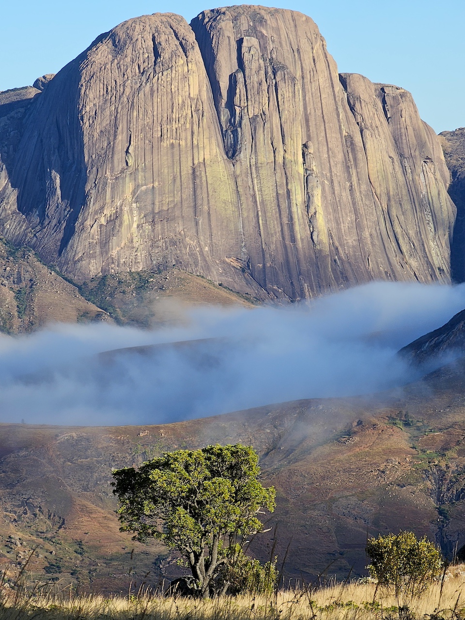 гора Хамелеон