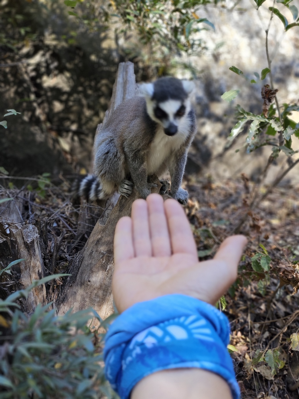 Треккинг на Мадагаскаре