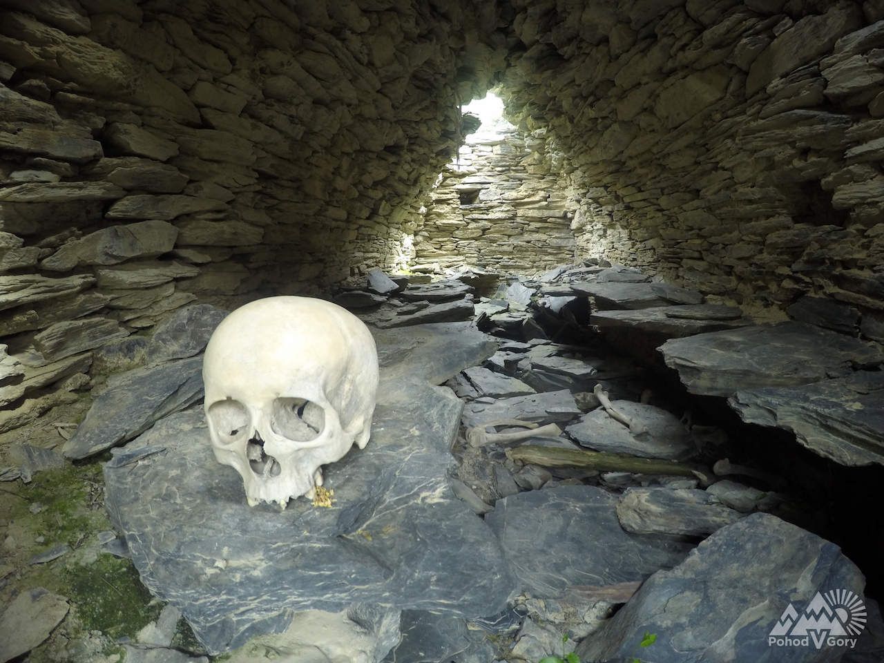 Череп в Тушети