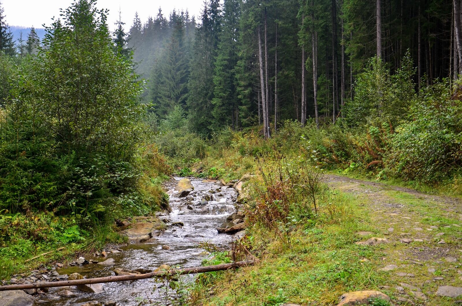 Река Женець