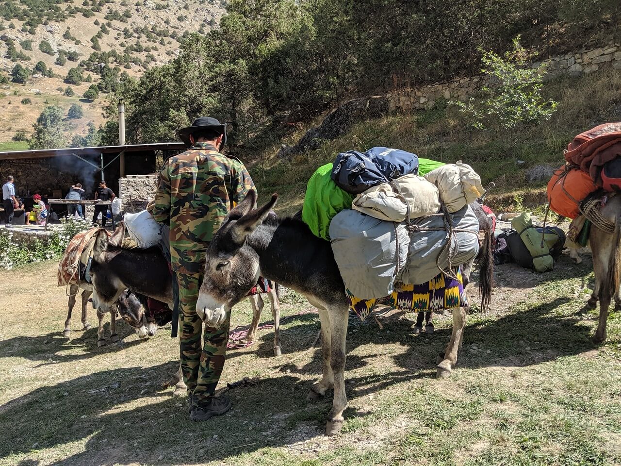 віслюки в Фанах
