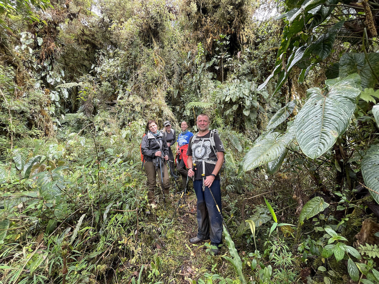 похід в Еквадорі