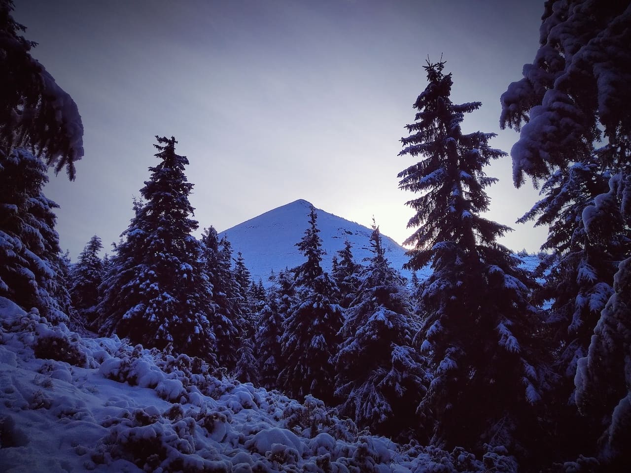 Піп-Іван Мармарошський зимою