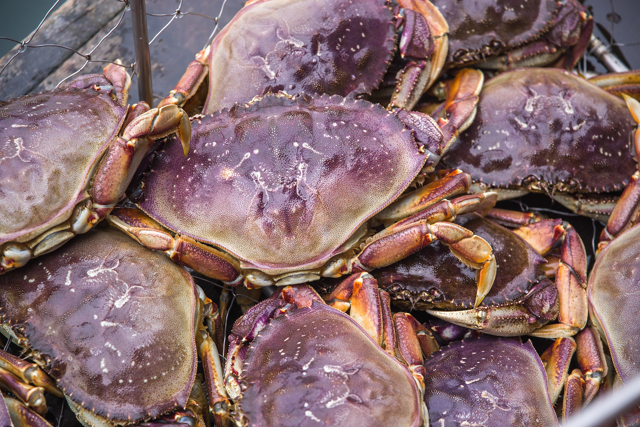 Морепродукты, крабы