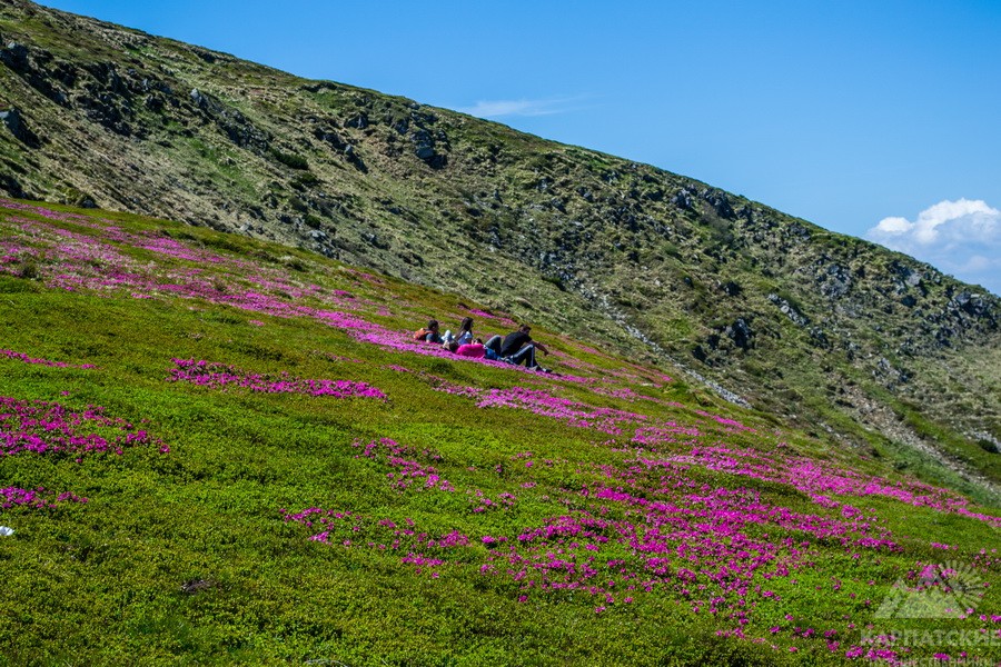 Поход на Говерлу