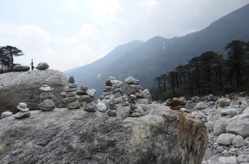 Поход в Индии – Гималаи в парке Канченджанга