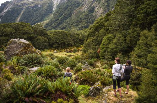 Треккинг в горах Новой Зеландии