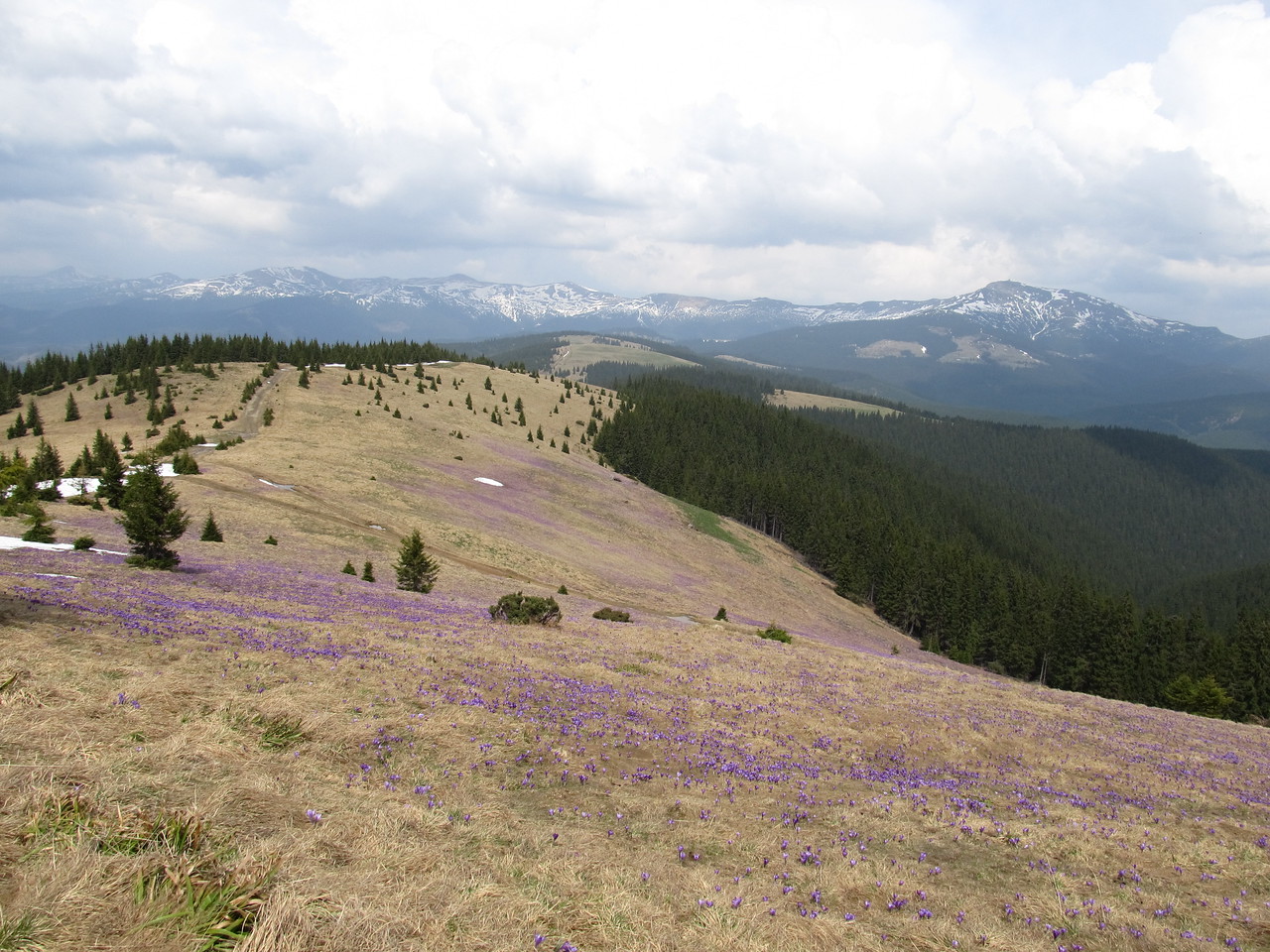 Стог на майские