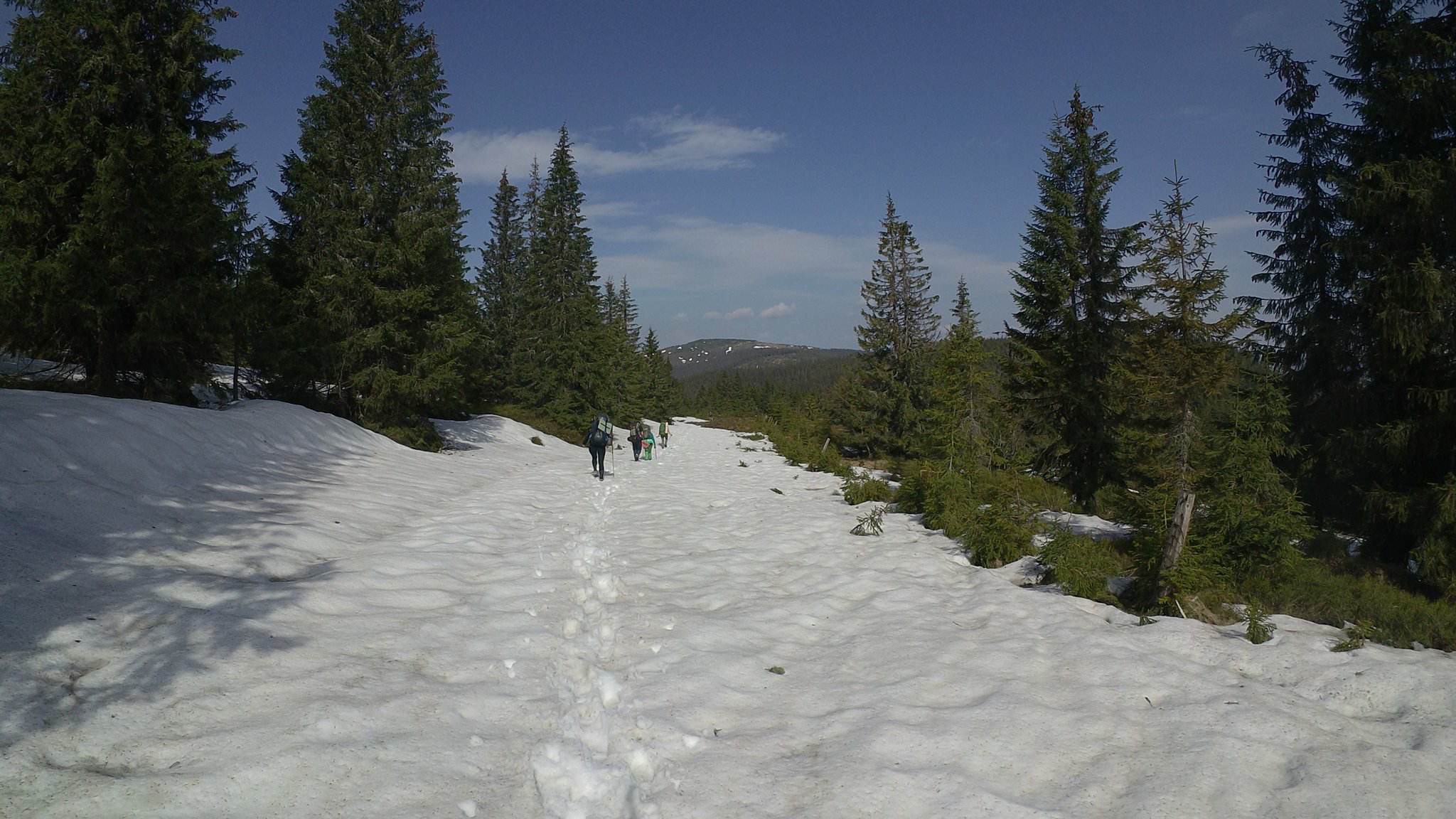 Снег на тропе