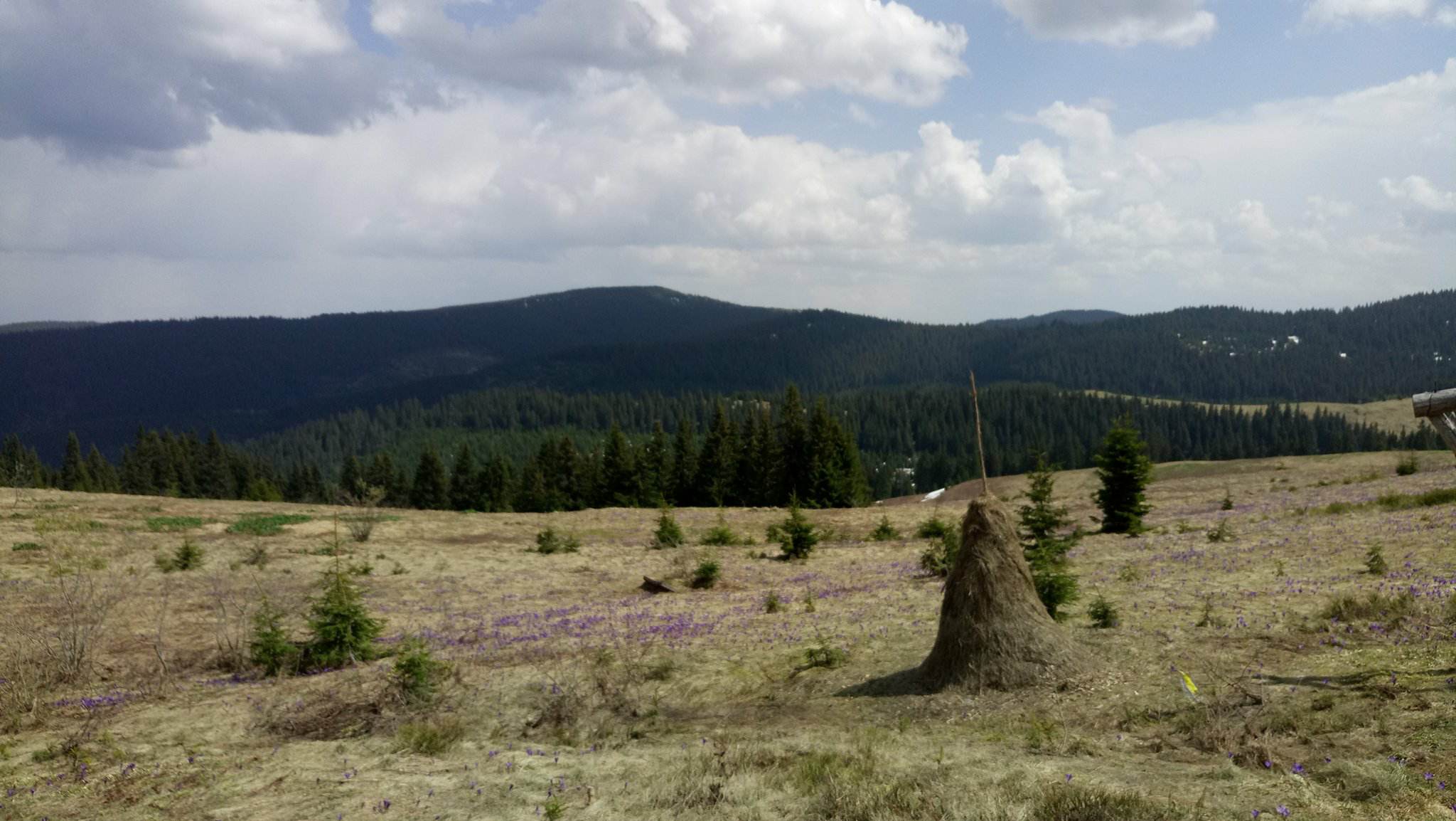 Полонына на майские