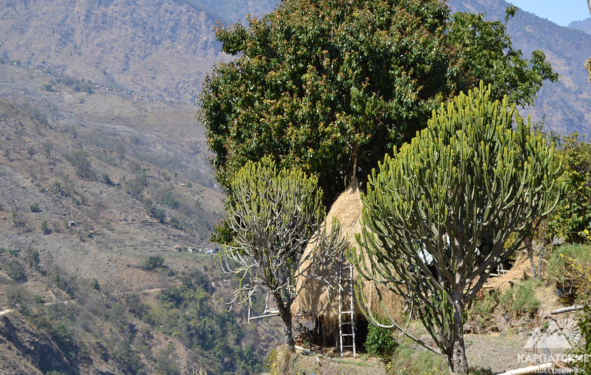 По дорозі в Сянге