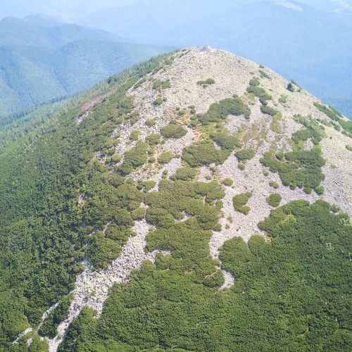 гора Хомяк - фото с дрона