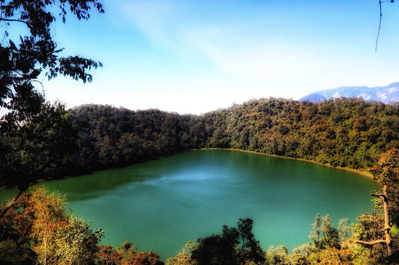 Озеро в лесу