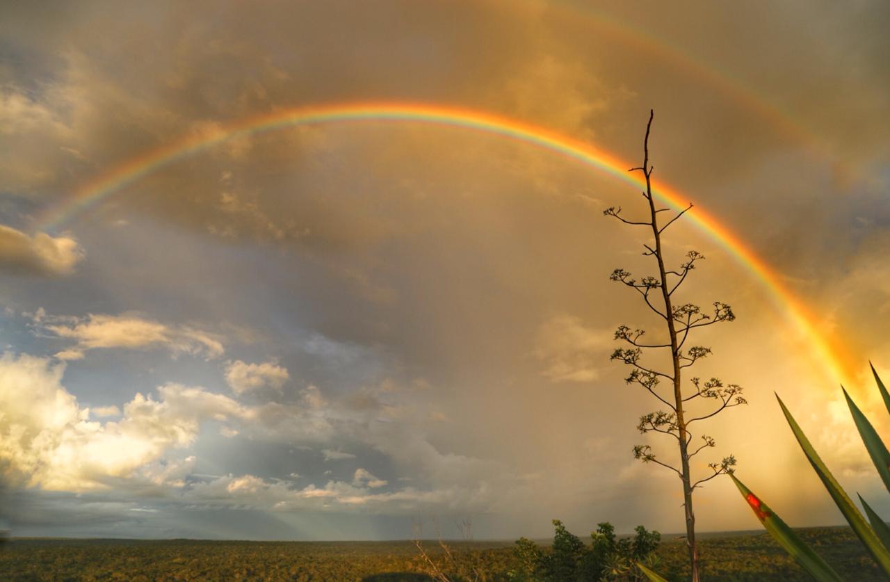 Вид из окна автобуса в Гватемале