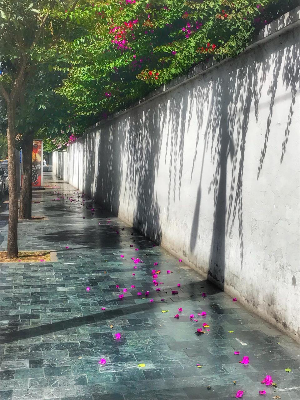 Цветы в Гватемале