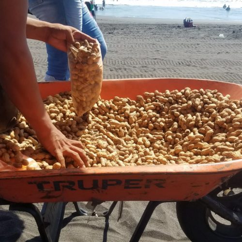 Орехи на пляже