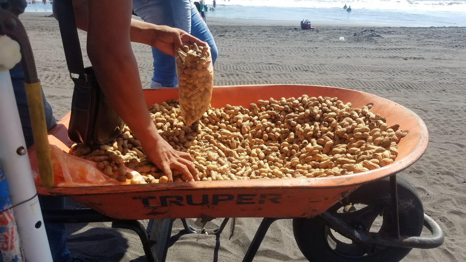 Орехи на пляже