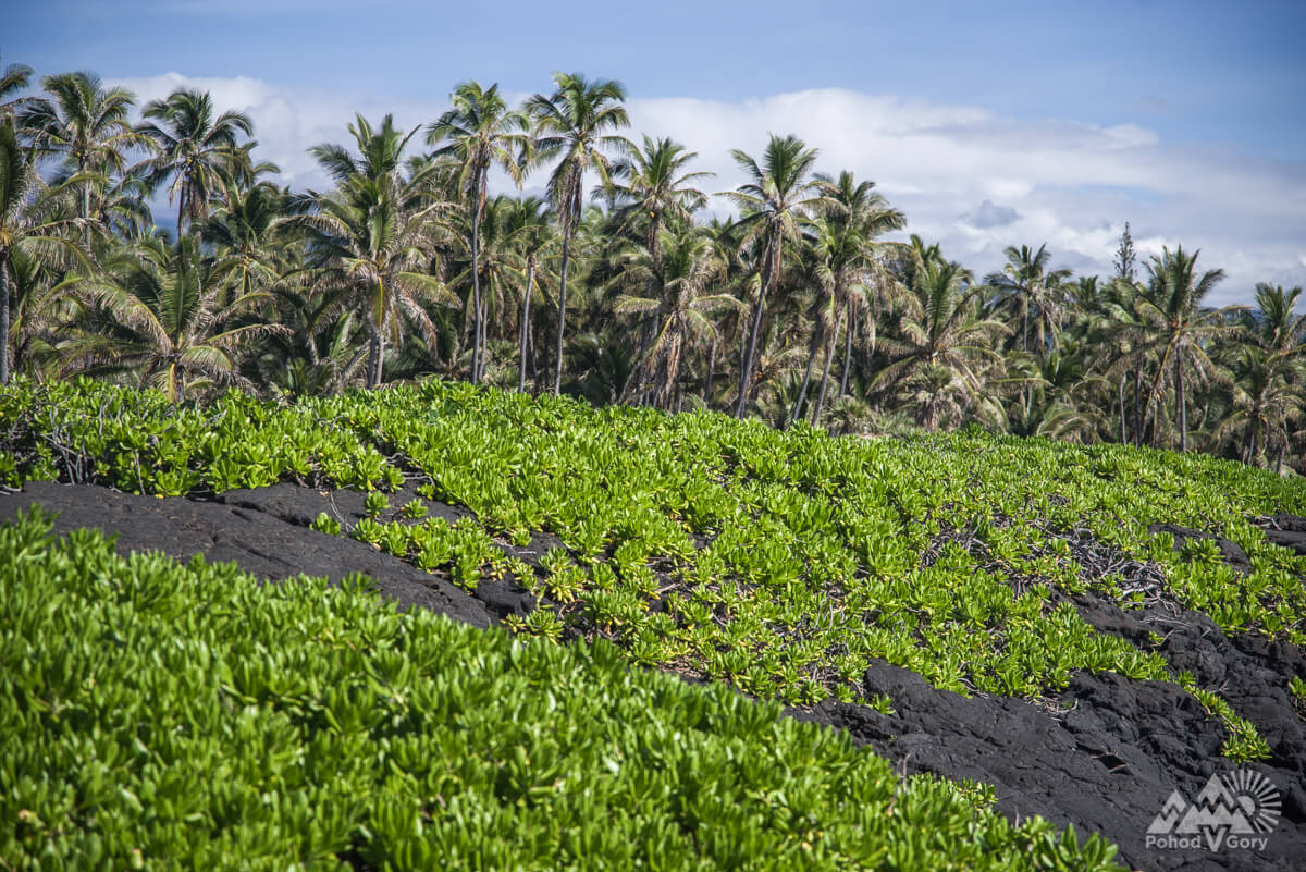 black sand beach на Гавайях