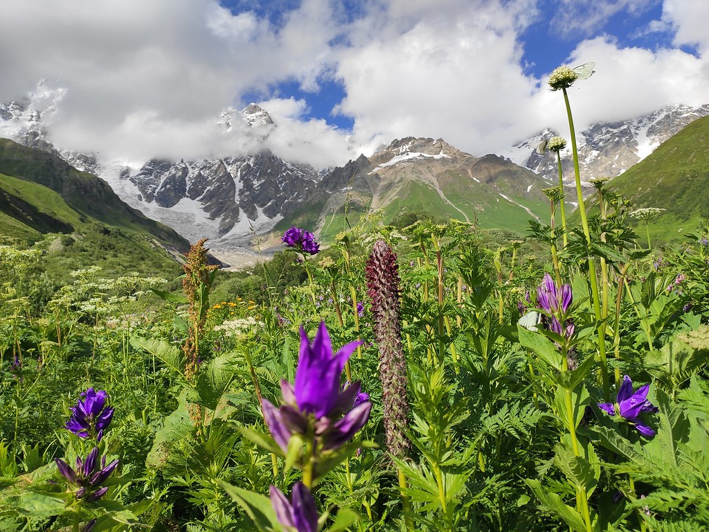 Природа Сванетии