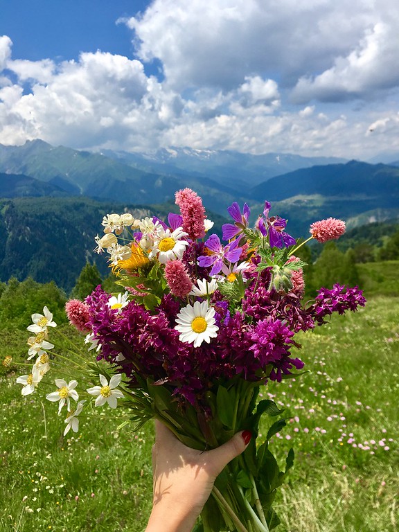 Сванетия в июне