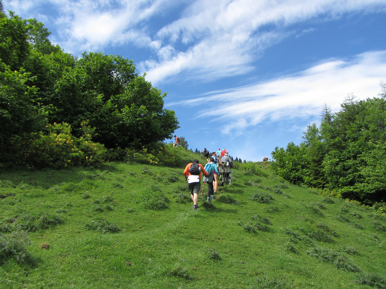 Тропа на перевал