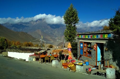 Село в Непале