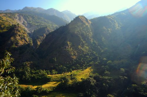 Рисовые терасы в Гималаях