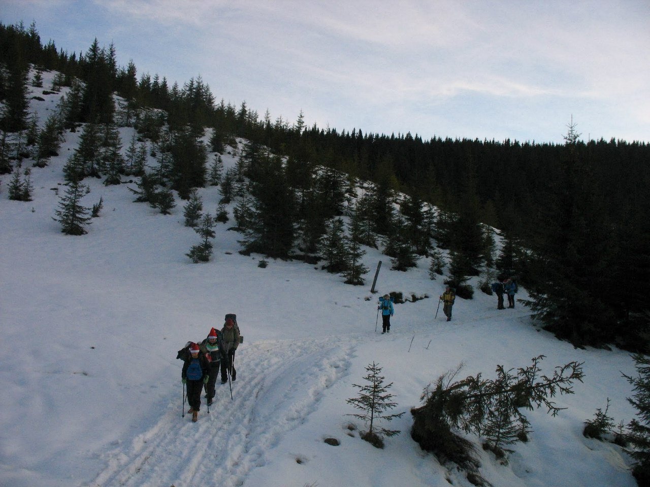Новогодний поход в Карпаты. Гринявы
