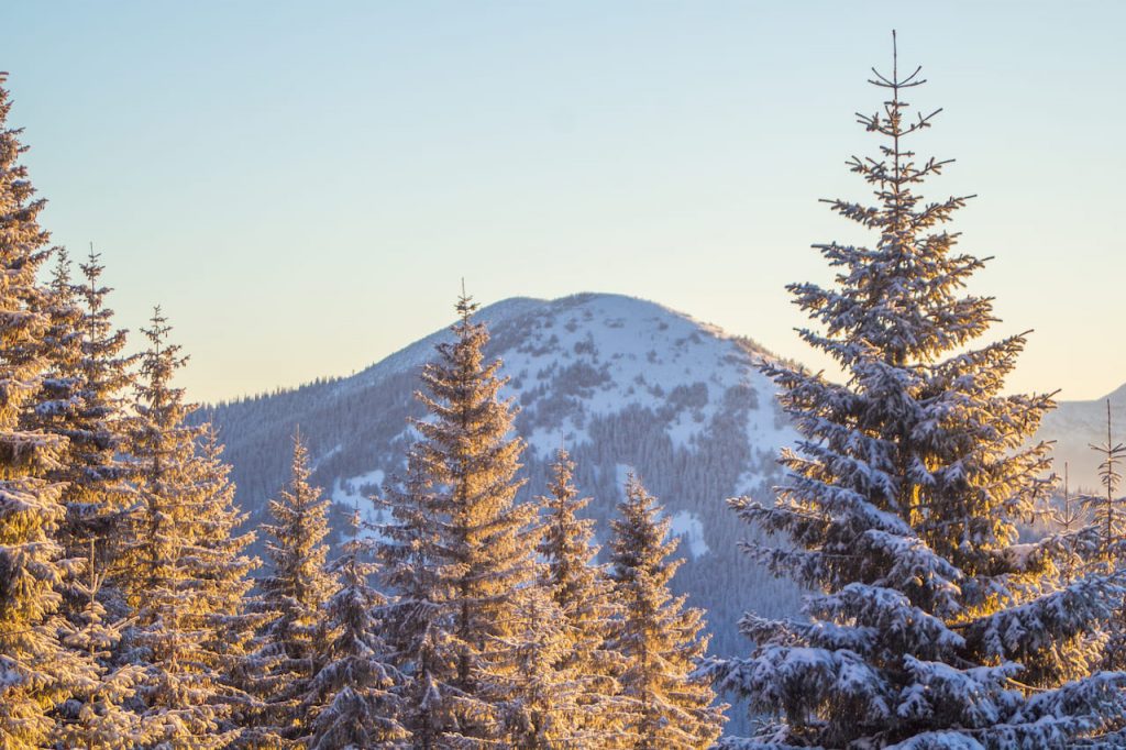 Зимові походи в Карпати. Вид на гору Канусяк