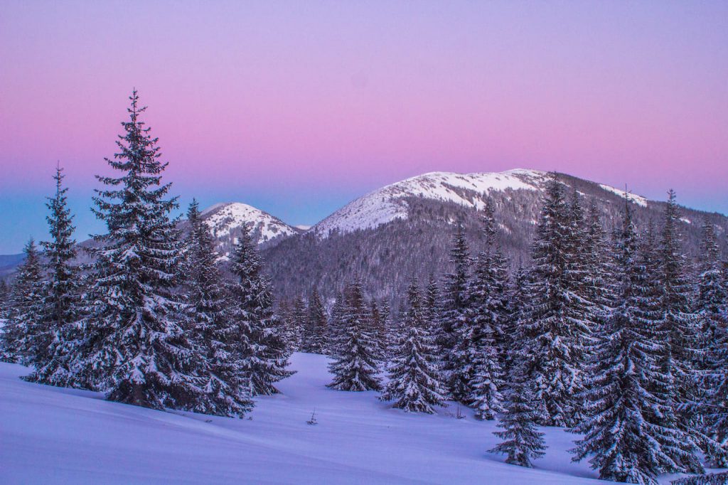 гора Великий і Малий Канусяк - зимові Карпати, туристичний похід з гідом