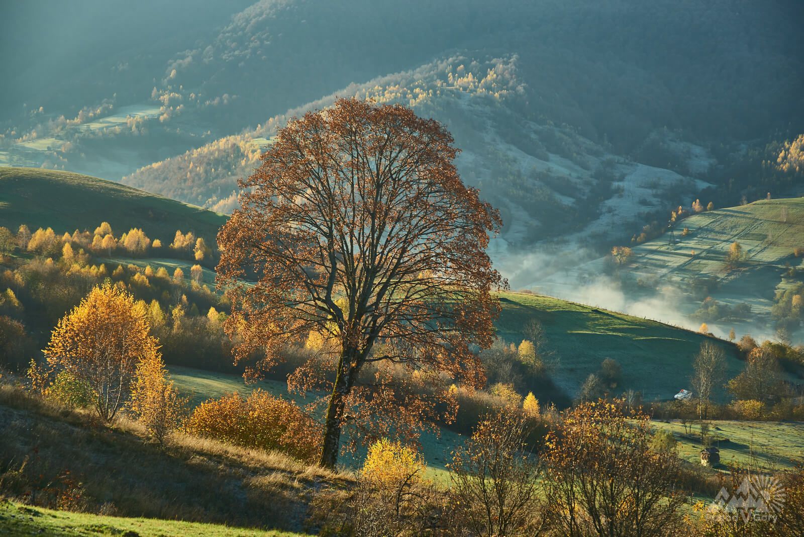 Осінь в Карпатах тури
