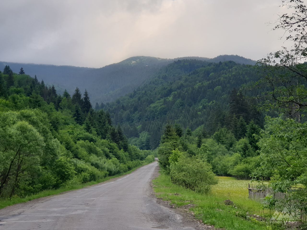 Тури в Закарпатті