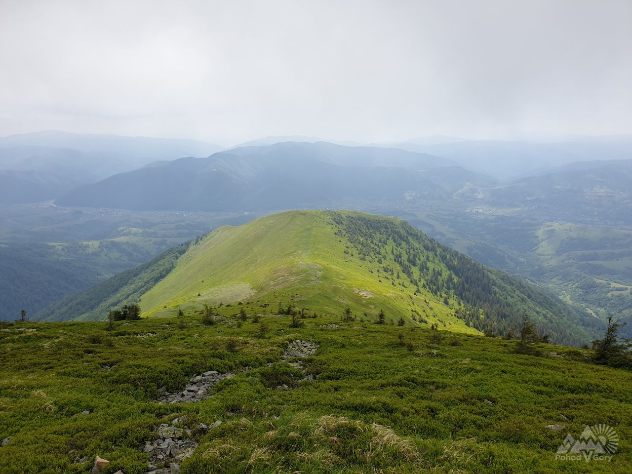 Хребет Негровець