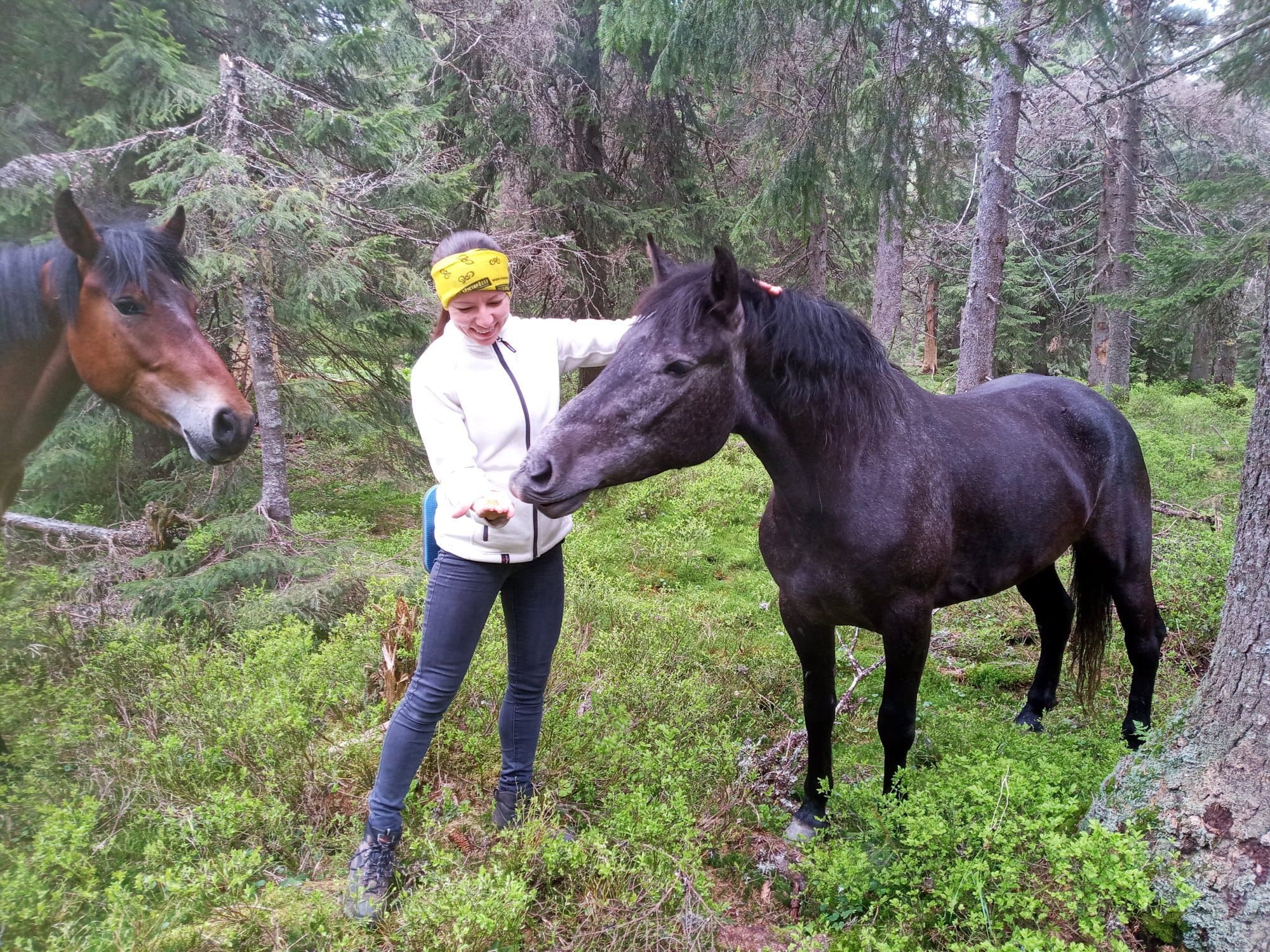 Оксана Артемовська