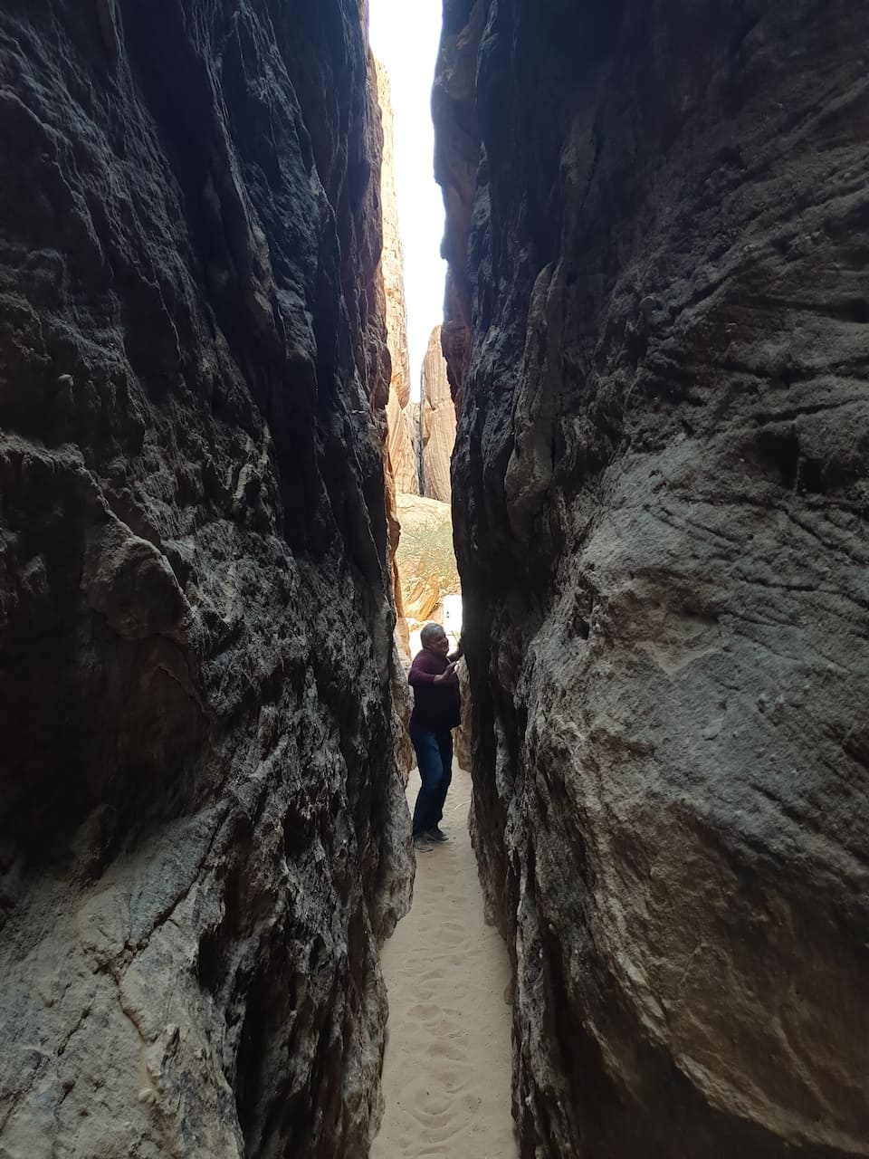 путь в ресторан