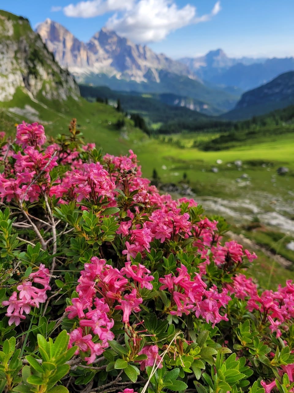 Легкий похід в Доломітові Альпи