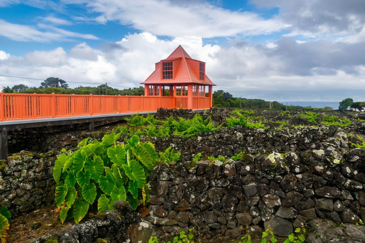 музей вулканического вина