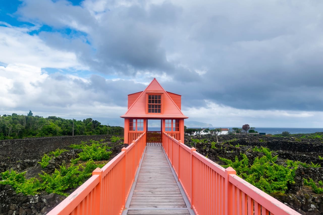 музей вулканического вина