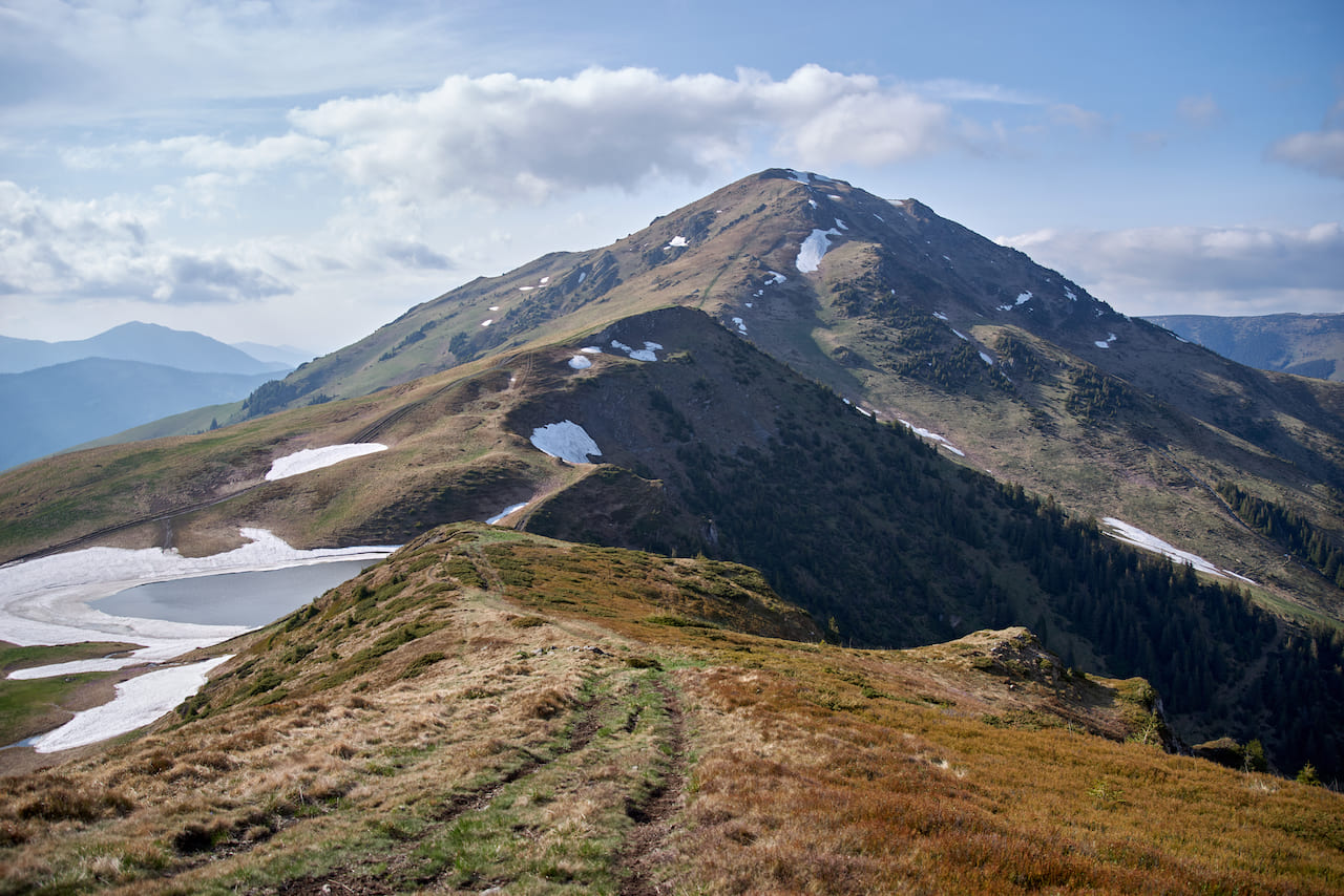 Фаркеу і Віндерел