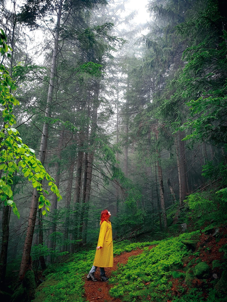 Юлия Палагута