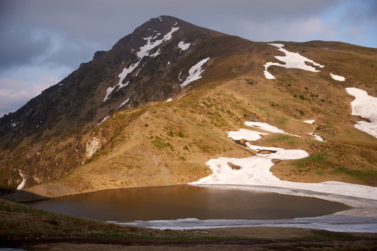 Віндерел і Міхайлек