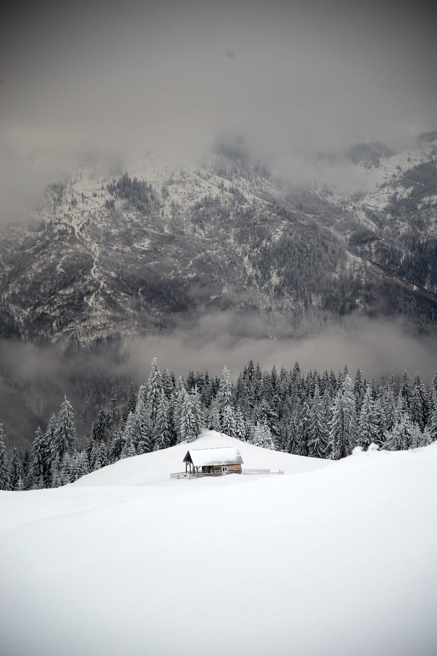 колиба під Фаркеу - Мармароси