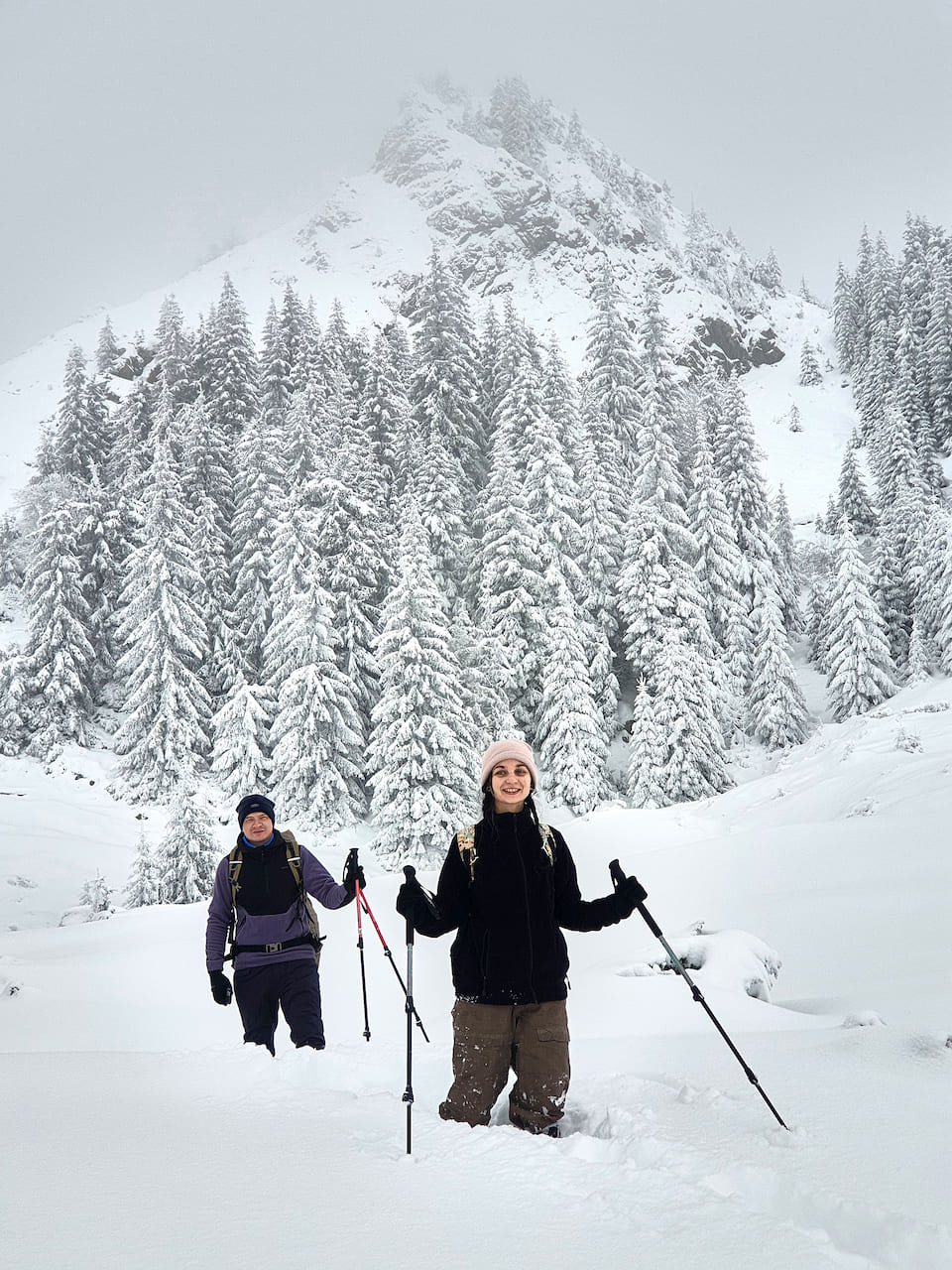 зимова Фаркеу