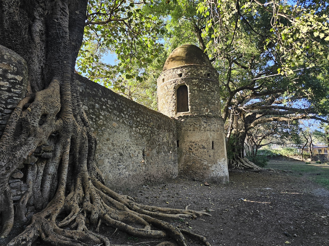 Фасілідські лазні