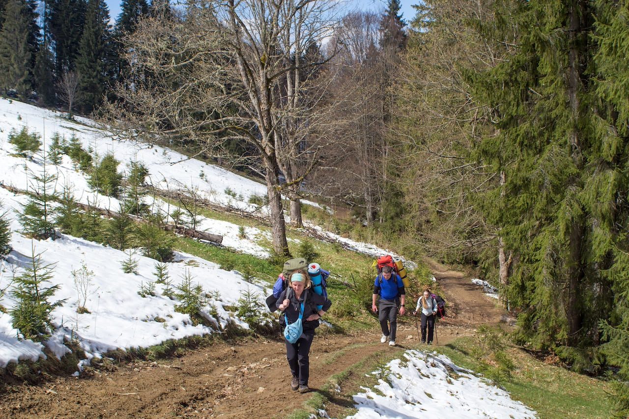 весна в Карпатах