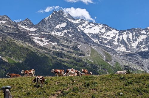 ідилічні пейзажі у Французьких Альпах