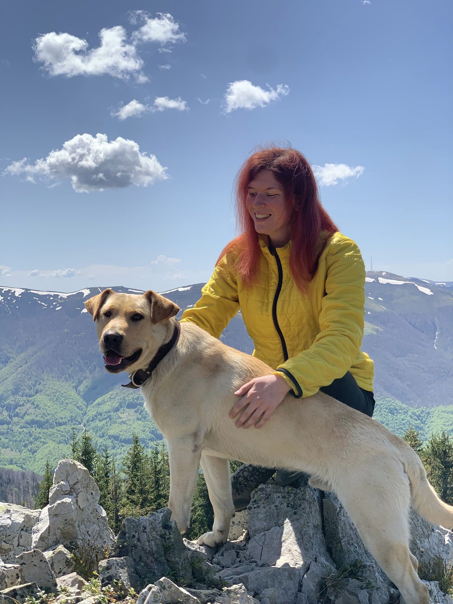 Похід в Карпати з собакою