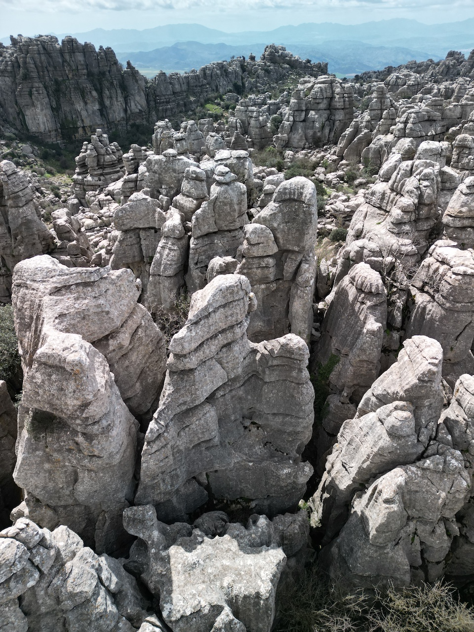 Скульптури з каменю