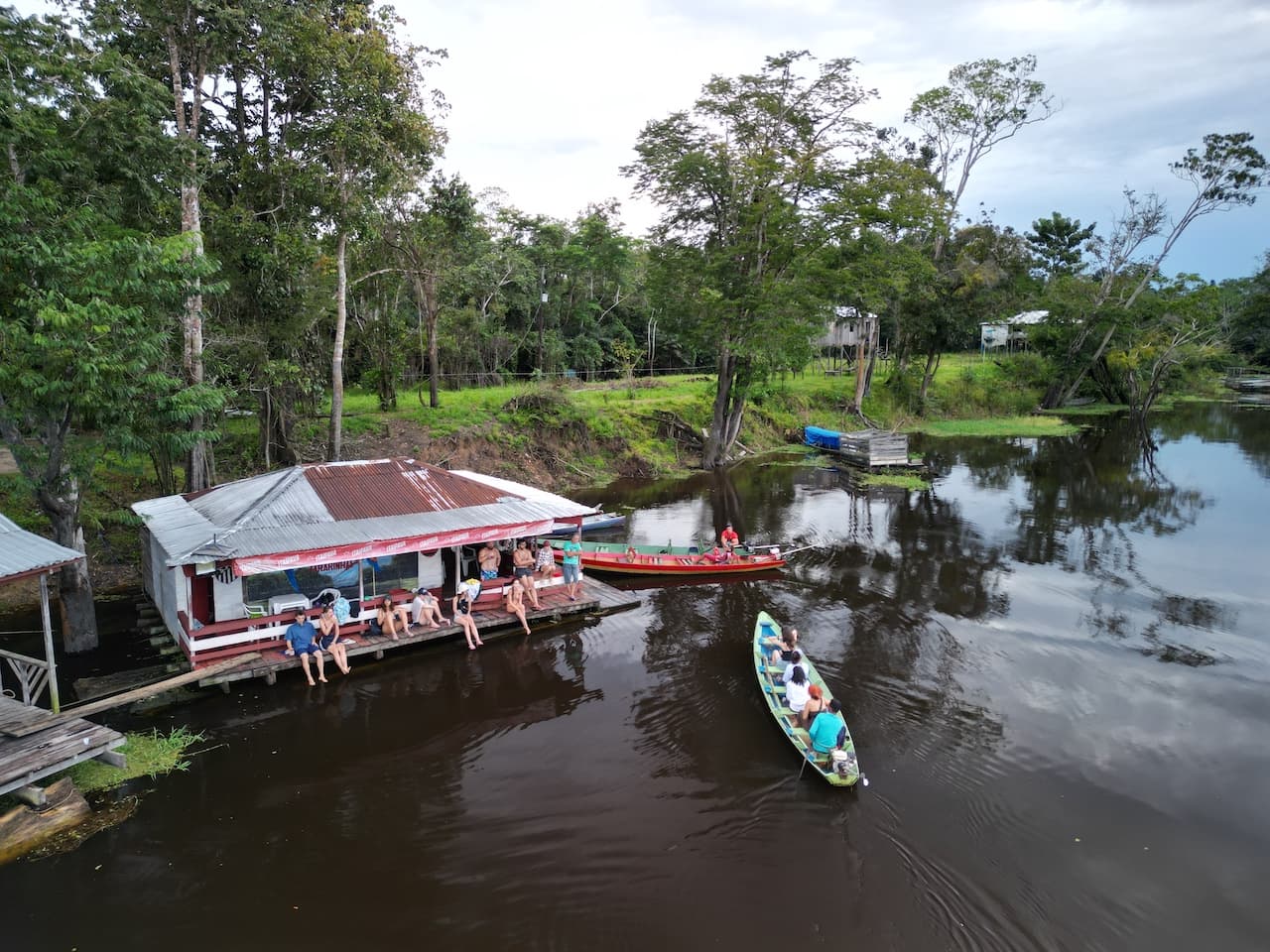 Амазонские джунгли